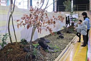 保内小学校の体育館に再現された造園と鍛冶がテーマの空間アート=2月23日、三条市上保内