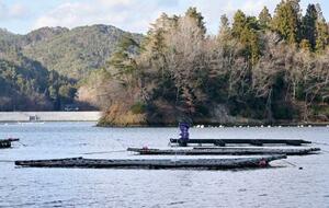 　養殖いかだ＝１０日、宮城県気仙沼市