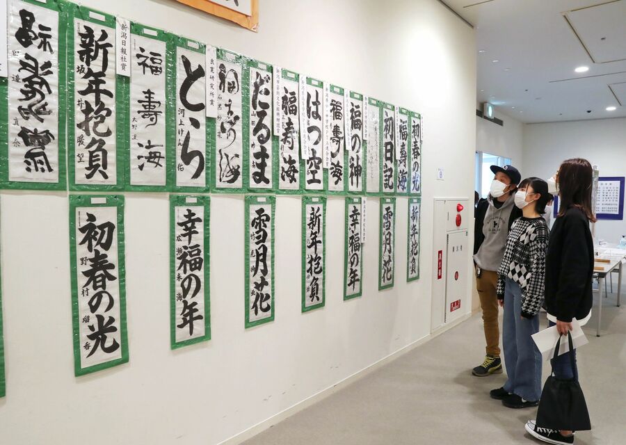 筆遣い 息づく力強さ 新潟日報デジタルプラス