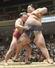 ２０１９年５月の夏場所で新入幕の炎鵬（左）は体重が自身の倍近い徳勝龍を果敢に攻める＝両国国技館