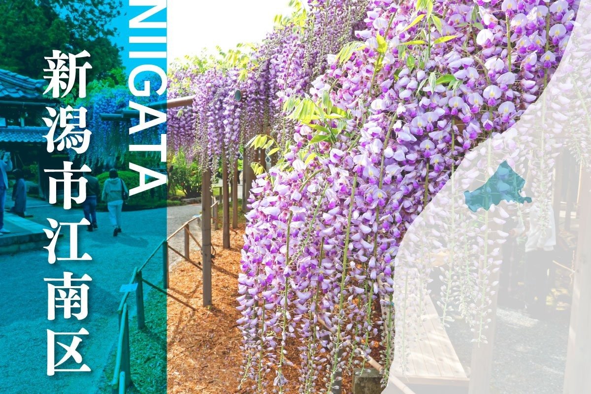 北方文化博物館（新潟市江南区）が開館80周年で特別回顧展 10月13日