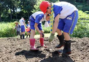 ソバの種をまく新井南小の児童たち=妙高市長沢