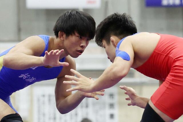 成年男子フリースタイル６５キロ級準々決勝　攻め手を探る及川丈尊（左・日体大）＝滋賀県栗東市