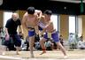 上越地域の小学生が白熱した戦いを繰り広げた「わんぱく相撲上越場所」=25日、上越市戸野目古新田