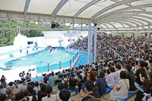 多くの客でにぎわった新潟市水族館「マリンピア日本海」=新潟市中央区