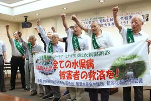 早期解決を目指して拳を上げる原告ら=6月22日、新潟市中央区
