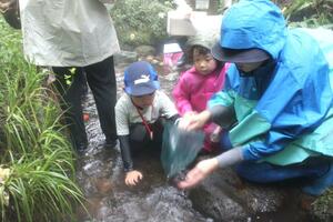 沢で生き物探しをする子どもたち=8月24日、妙高市関山