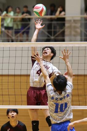 県高校総体バレーボール男子決勝　スパイクを放つ関根学園の小林絢=６月８日、小千谷市総合体育館