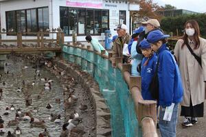 瓢湖の野鳥を観察する水原小学校「白鳥パトロール隊」の児童ら=阿賀野市水原