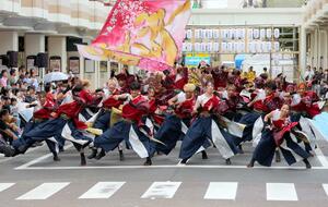 勢いのある踊りで盛り上がる「にいがた総おどり」の会場=13日、新潟市中央区の万代シテイ