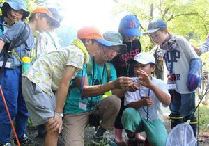 県立こども自然王国が今森光彦さんを講師に招いて開いた昆虫採集イベント=柏崎市高柳町高尾