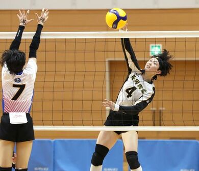 21冬の高校スポーツ バレーボール女子 新潟日報デジタルプラス