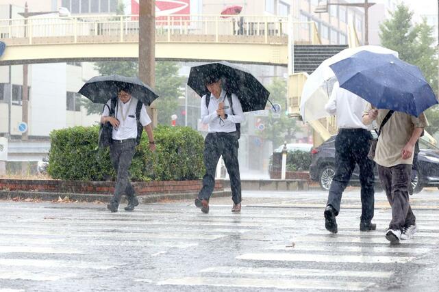 県内に久々の雨 降りしきる雨の中を歩く人たち=5日、新潟市中央区東大通1