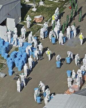 鳥インフルエンザの陽性が確認され、北海道厚真町の養鶏場で殺処分作業を進める関係者=10月17日(共同通信社ヘリから)