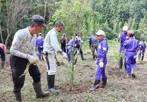 ハナモモの苗木を植える出雲崎小学校の児童ら=出雲崎町相田