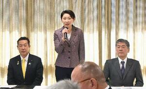 自民党沖縄振興調査会の会合で発言する小渕優子会長(中央)=18日午前、東京・永田町の党本部