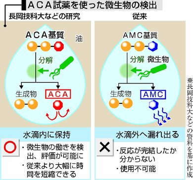役立つ微生物 効率的に発見 長岡技科大などが技術開発 新潟日報デジタルプラス