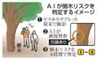 　ＡＩが倒木リスクを判定するイメージ