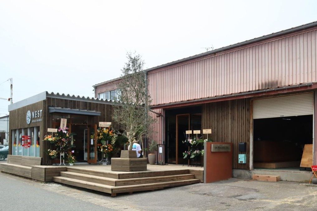 R★新潟市北区引き取り　③モンステラ　特大　高さ117 横幅160 タコス専門店＋アパレル雑貨＋大工作業場＝「NEST3」 新潟市中央
