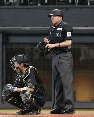 頭部にバットが直撃し審判員が負傷したことを受け、ヘルメットをかぶる運用が始まった日本ハム－西武戦の球審＝１８日、エスコンフィールド北海道