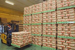 JA北新潟の低温倉庫で出荷を待つコシヒカリ玄米=7月7日、新発田市