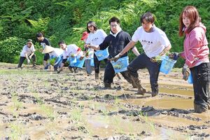 社員研修で田植えをするASTRA社の社員ら=十日町市峠