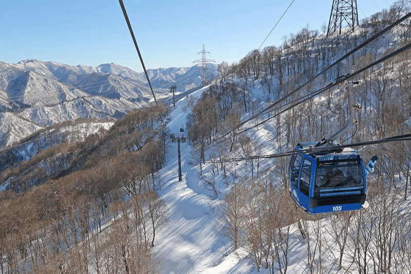 オリンピアへの道 1996〜2013 コンプリート 新世紀GPXサイバーフォーミュラSIN 凰呀AN-21 コンプリートBOX