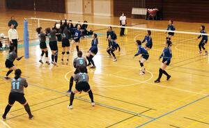 熱いラリーが展開された佐渡地区婦人バレーボール大会=佐渡市窪田
