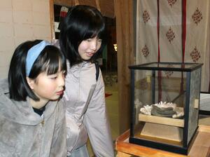公開されたセグロウミヘビのミイラを見つめる参拝者=1月1日、佐渡市新穂潟上