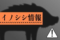 ［イノシシ目撃情報］柏崎市（3月28日）