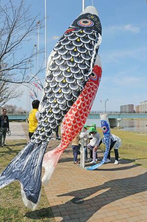 こいのぼりを掲揚する園児たち=4月12日、新潟市中央区