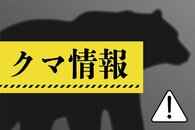 ［熊目撃情報］阿賀町（2月20日）