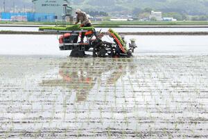 県内で本格化している田植え作業=7日、新発田市金塚