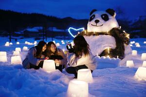 雪灯籠や雪像の明かりが会場を照らした「七ケ谷雪ほたる」＝関川村安角