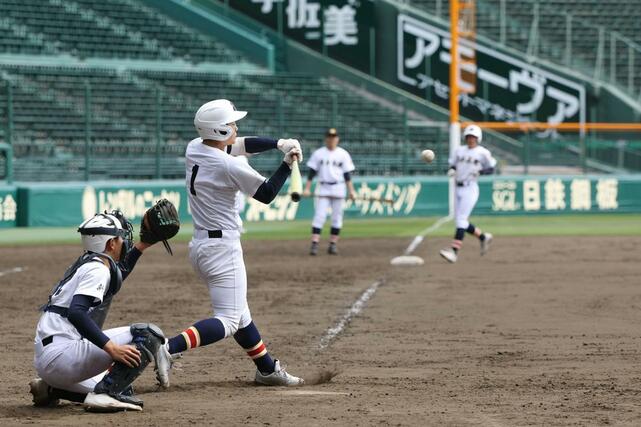 打撃練習に汗を流す日本文理の選手たち＝甲子園