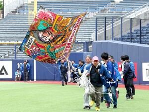 プロ野球ファームリーグで揚げられた白根の大凧＝新潟市中央区