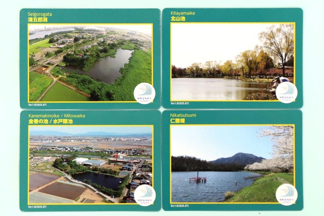 巡って集めて湿地の魅力存分に 新潟市がカード第2弾の配布スタート