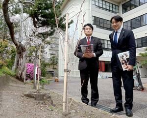 植樹した桜の成長を確かめる横田めぐみさんの同級生＝９日、新潟市中央区
