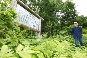 くわどり市民の森の分区林を訪れた上越市漁協の仲田紀夫組合長。「魚の森」をこれからも大事にしていきたいと思う=6日、上越市