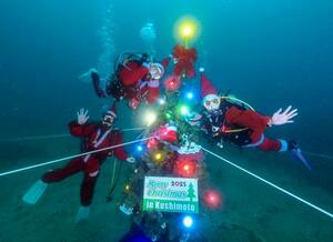 　和歌山県串本町沖の海底に設置されたクリスマスツリー＝１１月（串本ダイビング事業組合提供）