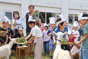 子ヤギに餌をあげる十日町西小学校の児童=十日町市西本町1