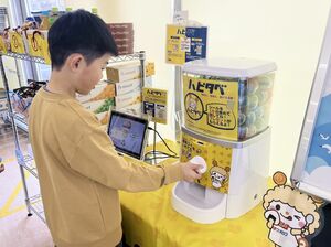 ハピタベのカプセル玩具販売機(ガチャガチャ)を回す子ども=村上市のウオロク村上店(ウオロク提供)