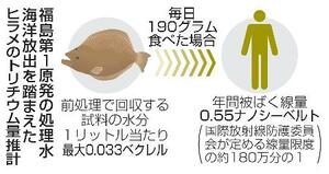 福島第1原発の処理水海洋放出を踏まえたヒラメのトリチウム量推計