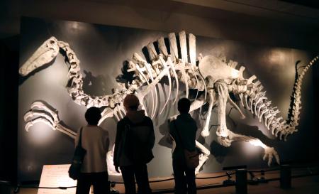 多様な恐竜の進化を体感できる特別展