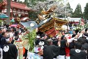 みこし激突！糸魚川「けんか祭り」熱気あふれる境内　天津神社で豊漁豊作を祈る春の大祭