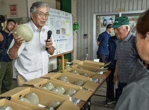 「大山メロン」の査定会で出来栄えを確認する関係者=22日午前、鳥取県大山町