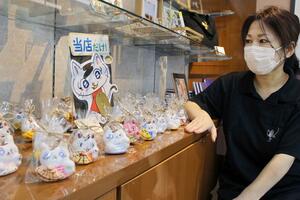佐渡歴史伝説館のセレクトコーナーに並ぶ、けさにゃんの土人形と、制作に携わったスタッフの臼杵景子さん=佐渡市真野