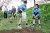 モミジの苗木を植える越路中の生徒=4月20日、長岡市朝日