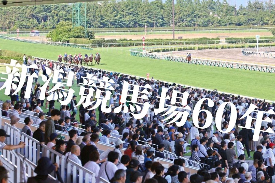 クラブ作成 ブラストワンピース 毎日杯・新潟記念 優勝記念クオカード ブラストワンピース (Blast Onepiece) | 競走馬データ - netkeiba