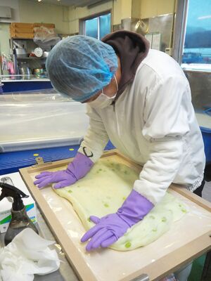 鮮やかな黄緑色に仕上がった「枝豆もち」=弥彦村